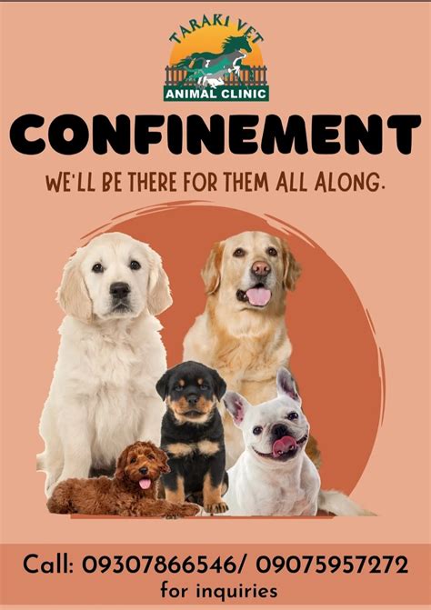veterinary clinic in baguio city|Veterinarians & animal hospitals in Baguio, Cordillera .